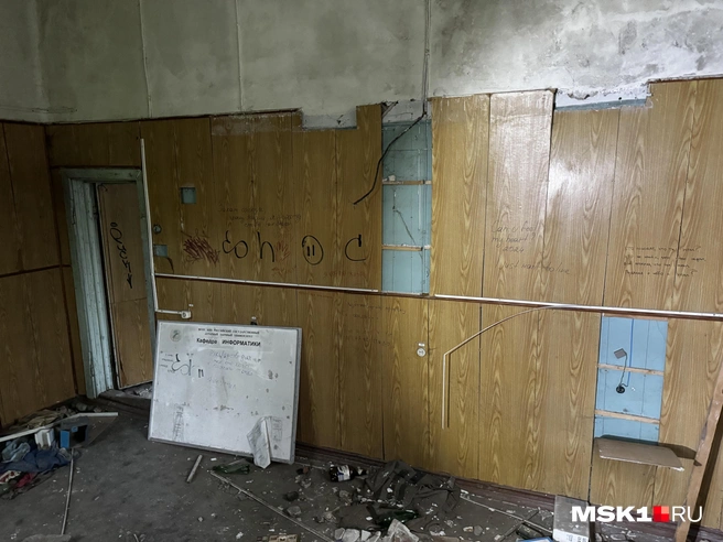 Источник: Алина Мельникова / MSK1.RU