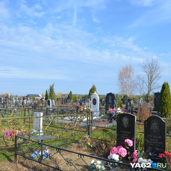 Оно не очень большое | Источник: Светлана Коновалова / YA62.RU