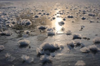 На реке Сылве расцвели ледяные цветы: 15 фото