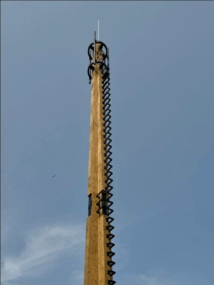 Wood is sexy: 5 трендов премии Архиwood-2025