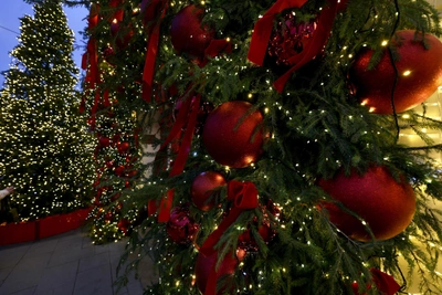 Малков подарит игровую кухню рязанской девочке