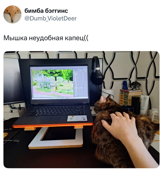 Источник: X (Twitter)