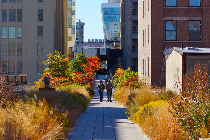 Дима Логинов – о «зеленой артерии» Нью-Йорка High Line