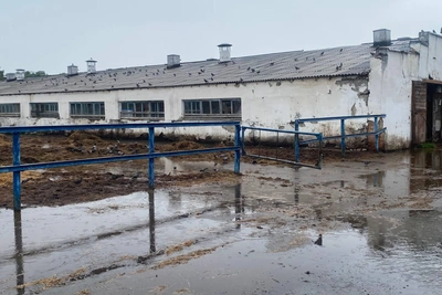 Под Тюменью ликвидируют ферму бывшего аграрного вуза