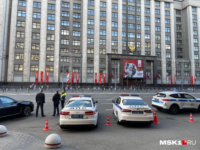 Источник: Вера Борисова / MSK1.RU