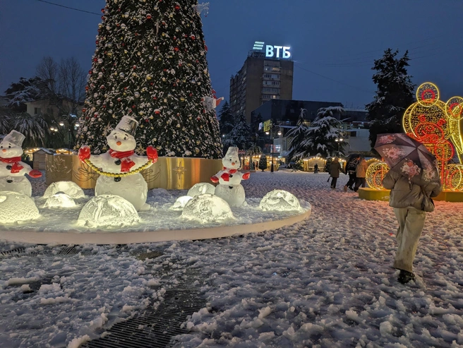 Главная елка Сочи и отсутствие сочинцев | Источник: Оксана Витязь