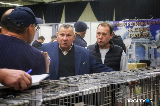А строгое жюри оценивало птиц на соответствие всевозможным параметрам | Источник: Алена Кашпарова / «ИрСити»