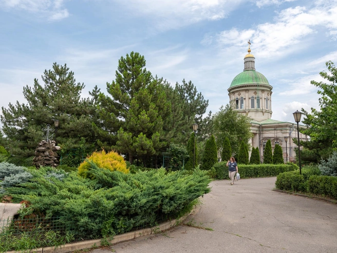 Источник: Евгений Вдовин / 161.RU