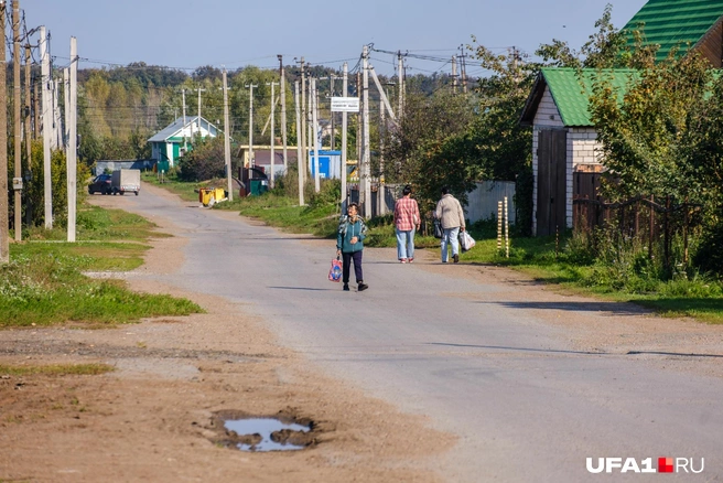 Гуляют перед обедом | Источник: Булат Салихов / UFA1.RU