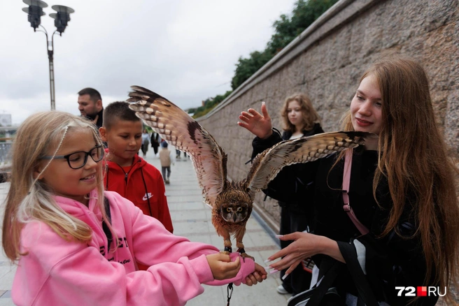 В День города на набережной мы встретили компанию девушек с совами. Они приехали к нам из другого города и разрешали погладить своих питомцев всем желающим | Источник: Ирина Шарова / 72.RU