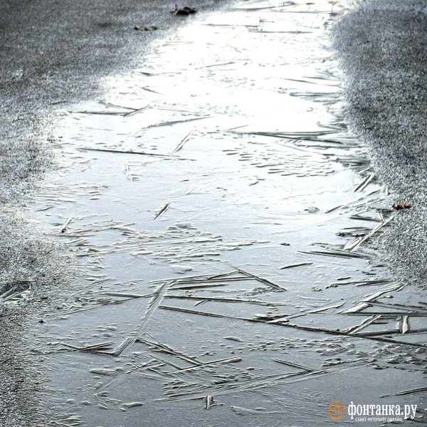 Источник: Ксения Потеева / «Фонтанка.ру»