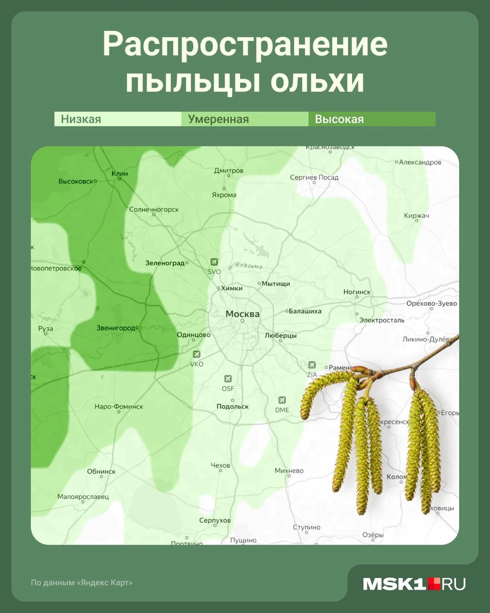Карта распространения пыльцы | Источник: Юрий Скулыбердин / Городские медиа