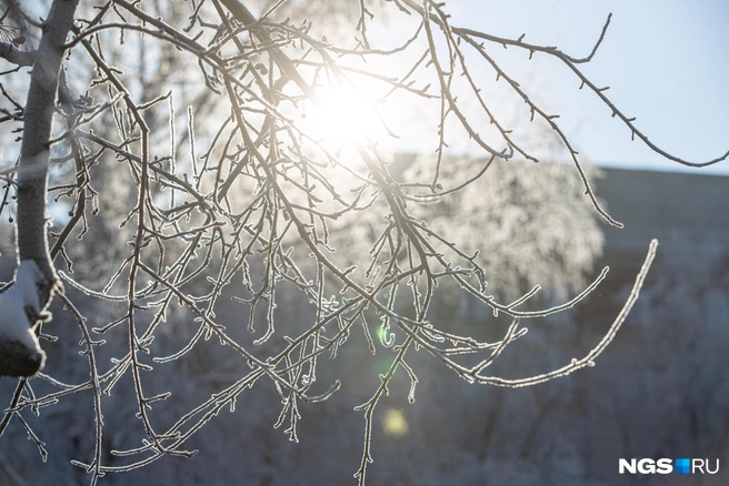 Ясная и морозная погода продержится до выходных | Источник: Александр Ощепков / NGS.RU