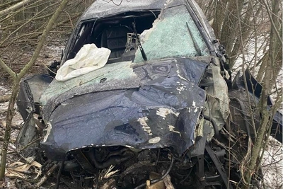 Audi врезалась в дерево в Воронежской области, есть раненые