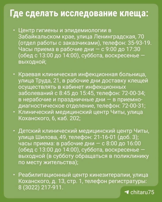 Источник: СHITA.RU