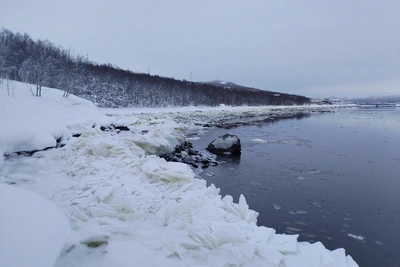 Волонтеры и спасатели ищут туристку в Заполярье, обследуя берег