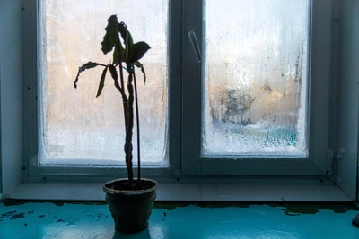 Heating Issues at TPP-2 Leave Chita Residents Freezing