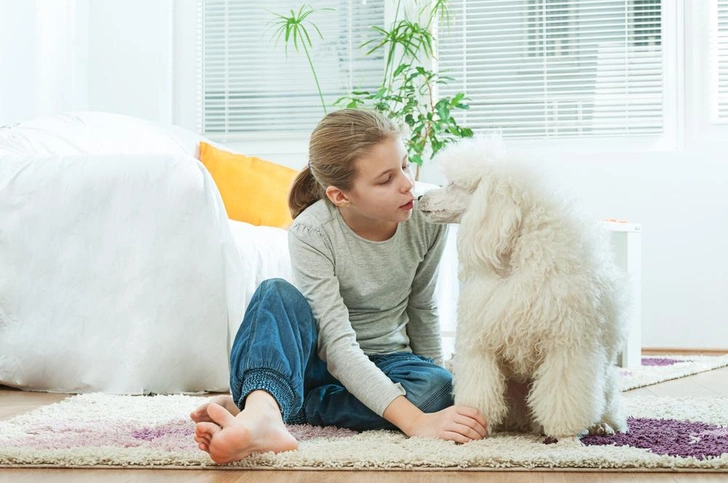 Источник: Jane Petrova/Shutterstock/Fotodom.ru