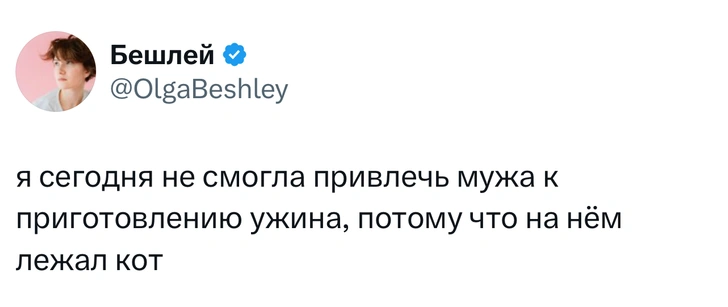 Источник: X (Twitter)