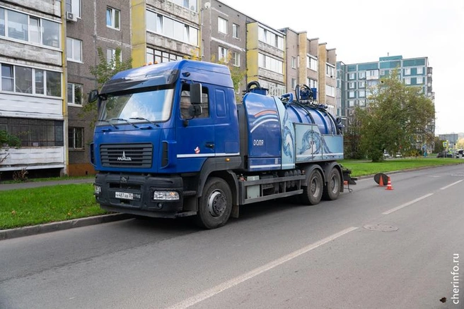 Из Череповца вывезли 590 кубометров листьев | Источник: st.cherinfo.ru