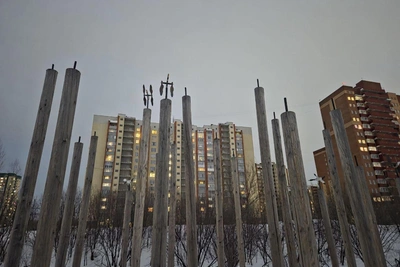 Утки-флюгеры вернутся в парк Каменка летом