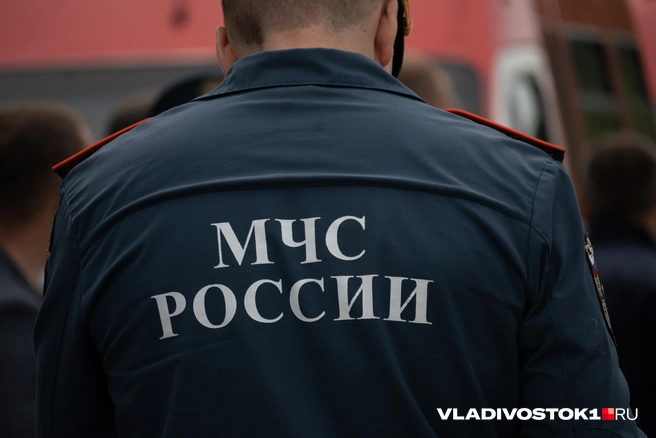 Источник: Елена Буйвол / VLADIVOSTOK1.RU