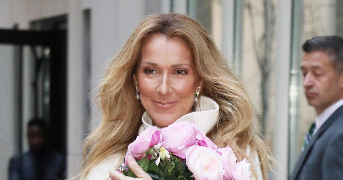 My Heart Will Go On: неизлечимо больная Селин Дион поругалась с Джоли и ...