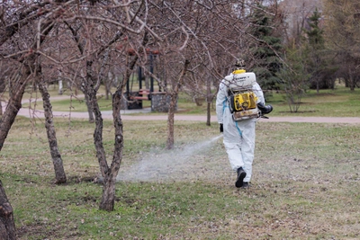 Количество укусов клещей в Югре выросло на 37% за неделю