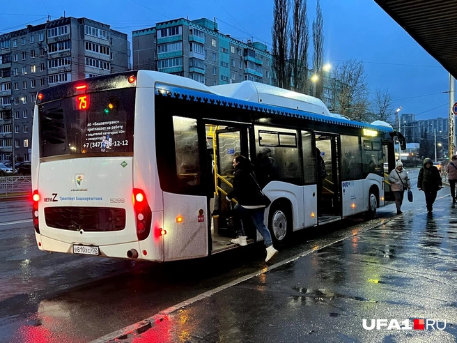 Вроде не так всё плохо | Источник: Андрей Бирюков / UFA1.RU
