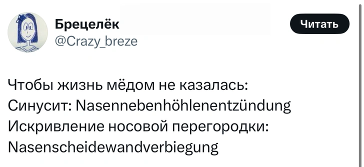 Источник: X (Twitter)