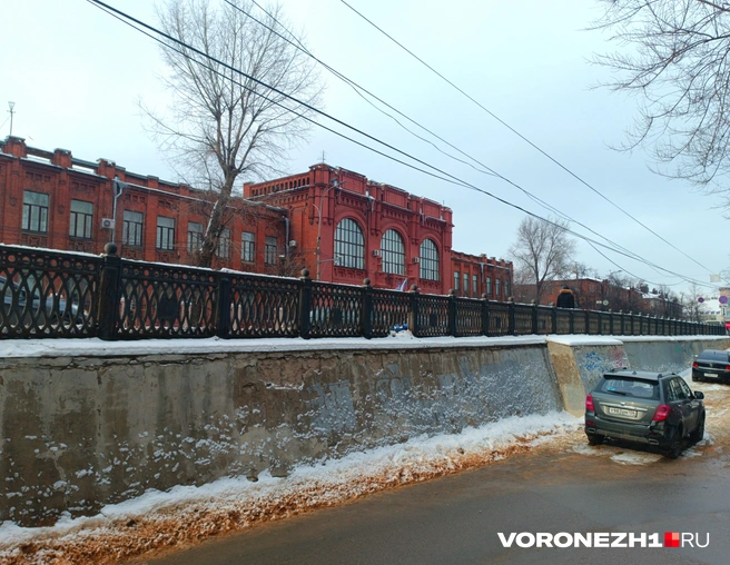 Зимой часть стены срыта снегом | Источник: Алена Воропаева / Voronezh1.ru