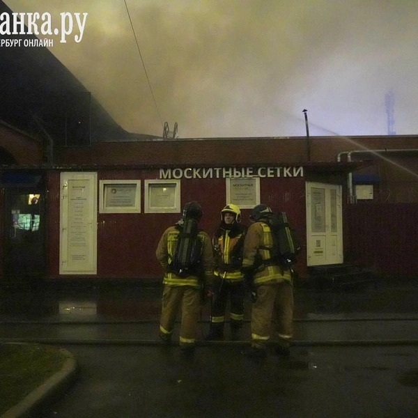 Источник: Павел Даиси / FONTANKA.RU