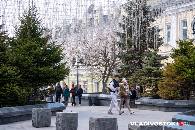 Источник: Елена Буйвол / VLADIVOSTOK1.RU