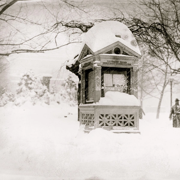 Киоск Министерства сельского хозяйства завален снегом из-за метели | Источник: ZUMA Press, Inc./via Legion Media