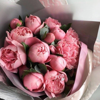 Аватарка Nina