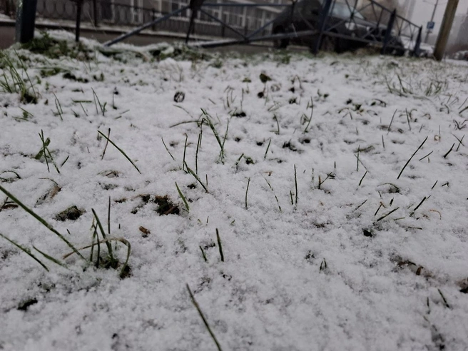 Источник: Елена Аносова / E1.RU