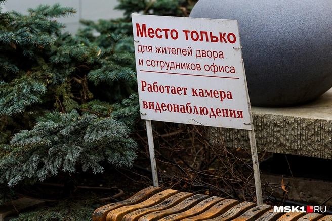 Двор с магнолией нельзя назвать проходным | Источник: Артем Устюжанин / MSK1.RU