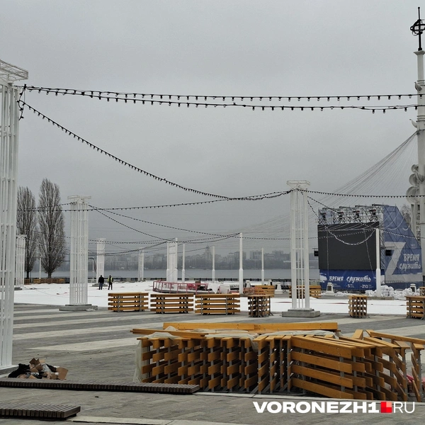 Источник: Алёна Воропаева / Voronezh1.ru