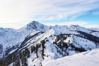 Минлеса обнаружило нарушения при строительстве тропы на голец