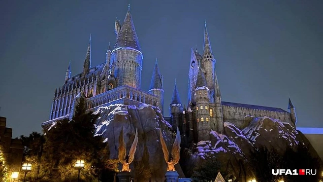 Вау! | Источник: Арина Насырова / UFA1.RU