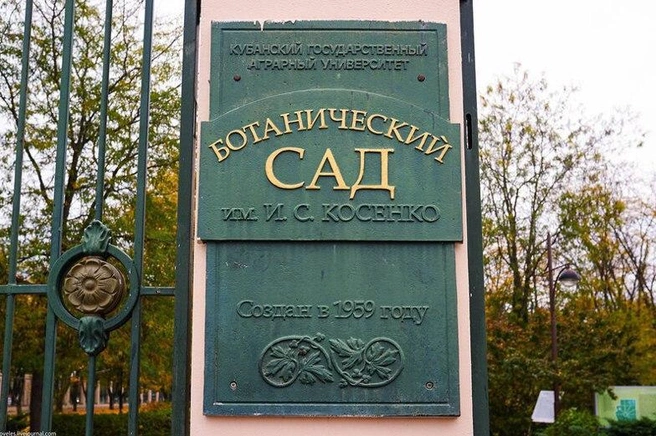 Прогуляться в саду не получится | Источник: МЦУ Краснодар / T.me