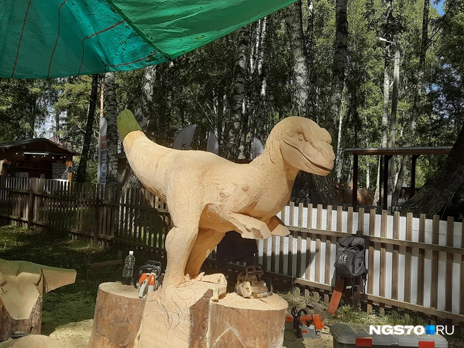 Источник: Анастасия Харламова / NGS70.RU