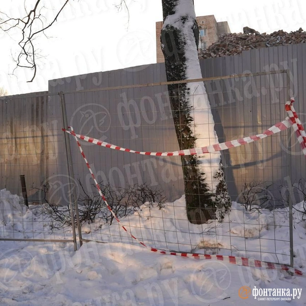 Источник: Павел Даиси / FONTANKA.RU
