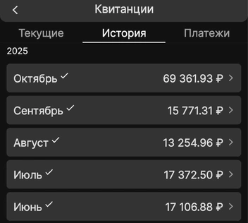 И даже внес деньги за большую часть той огромной суммы, которую ему начислили в октябре | Источник: Сергей, читатель E1.RU