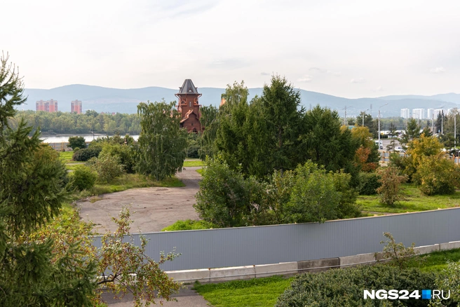 Фото сделано в августе 2024 года. С тех пор зелени за забором поубавилось | Источник: Мария Ленц / NGS24.RU