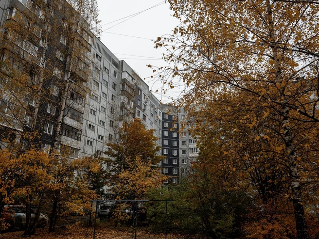 Но осень раскрашивает дворы в насыщенные оранжевые оттенки | Источник: Александр Куренной / 76.RU