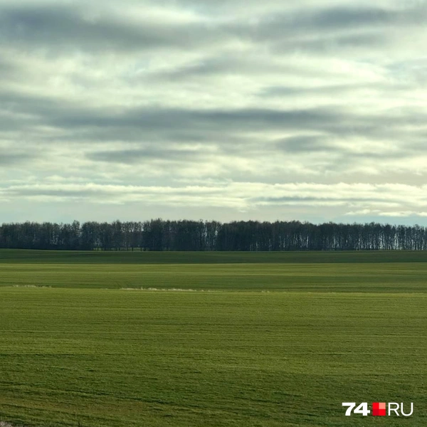 Да, мы не ошиблись, это свежее фото | Источник: читатель 74.RU