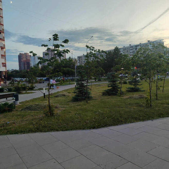 Траву сгребли в кучи и оставили | Источник: читатель 74.RU