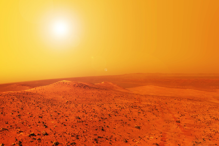 «На Марсе нашли жизнь еще 50 лет назад — но NASA тайно уничтожило ее»: в этом признался немецкий ученый