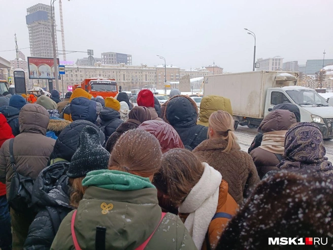 Источник: Анастасия Харитонова / MSK1.RU